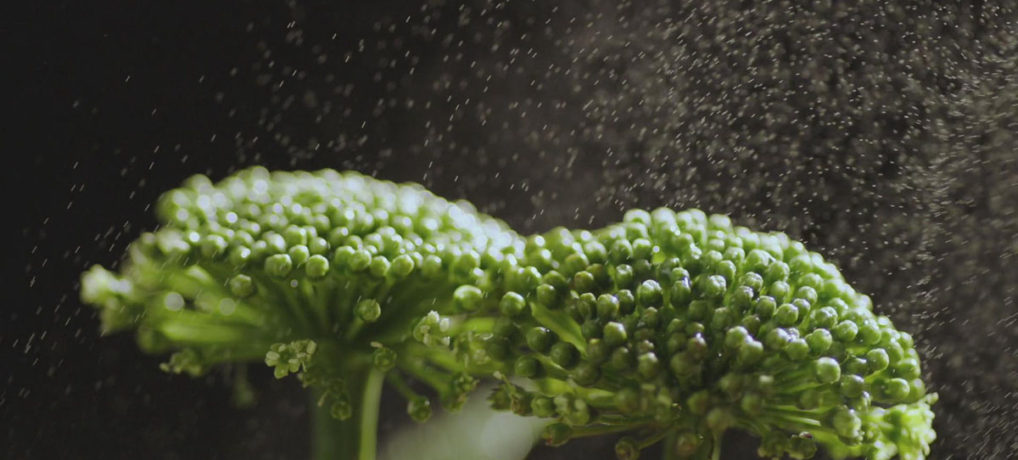 The Powerful Ginseng